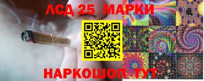 сатива Заводоуковск