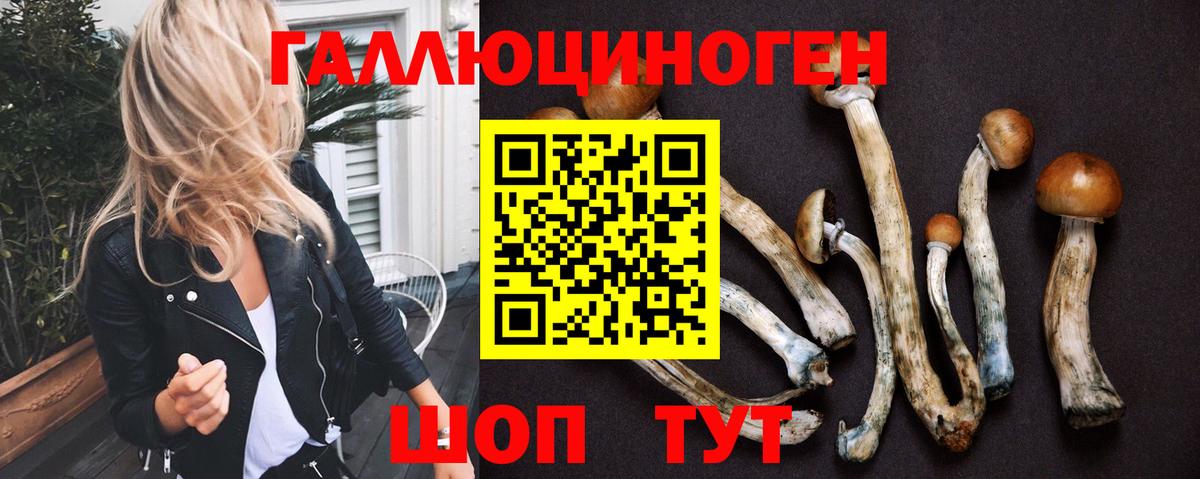 Псилоцибиновые грибы GOLDEN TEACHER Майский